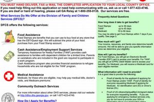 Apply for GA Food Stamp Benefits Today! Old Stamp Collecting Guide: Discover, Value & Preserve Vintage Stamps Apply for GA Food Stamp Benefits Today! | Old Stamp Collecting Guide: Discover, Value & Preserve Vintage Stamps