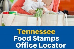 Find Hancock County Food Stamp Office Locations Old Stamp Collecting Guide: Discover, Value & Preserve Vintage Stamps Find Hancock County Food Stamp Office Locations | Old Stamp Collecting Guide: Discover, Value & Preserve Vintage Stamps