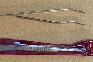 Best Stamp Collecting Tweezers: A Collector's Guide Old Stamp Collecting Guide: Discover, Value & Preserve Vintage Stamps Best Stamp Collecting Tweezers: A Collector's Guide | Old Stamp Collecting Guide: Discover, Value & Preserve Vintage Stamps