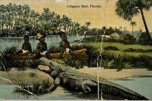Vintage Alligator Bait Postcards: History & Legacy Old Stamp Collecting Guide: Discover, Value & Preserve Vintage Stamps Vintage Alligator Bait Postcards: History & Legacy | Old Stamp Collecting Guide: Discover, Value & Preserve Vintage Stamps