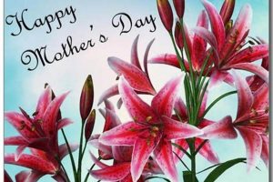 Mother's Day Postcard | Old Stamp Collecting Guide: Discover, Value & Preserve Vintage Stamps