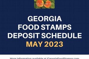GA Food Stamp Customer Service: Get Help Now Old Stamp Collecting Guide: Discover, Value & Preserve Vintage Stamps GA Food Stamp Customer Service: Get Help Now | Old Stamp Collecting Guide: Discover, Value & Preserve Vintage Stamps