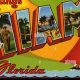 Vintage Postcard From Miami Beach | Florida | Old Stamp Collecting Guide: Discover, Value & Preserve Vintage Stamps