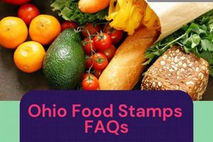 SNAP Approved Food List: What Can You Buy? Old Stamp Collecting Guide: Discover, Value & Preserve Vintage Stamps SNAP Approved Food List: What Can You Buy? | Old Stamp Collecting Guide: Discover, Value & Preserve Vintage Stamps