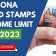 AZ DES Food Stamp Guide &amp; Application | Old Stamp Collecting Guide: Discover, Value & Preserve Vintage Stamps