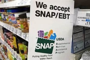 Download Your State's Food Stamp App Now Old Stamp Collecting Guide: Discover, Value & Preserve Vintage Stamps Download Your State's Food Stamp App Now | Old Stamp Collecting Guide: Discover, Value & Preserve Vintage Stamps