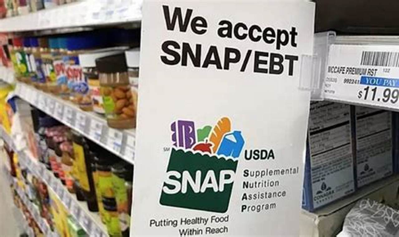 Download Your State's Food Stamp App Now