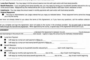 Food Stamp Repayment Old Stamp Collecting Guide: Discover, Value & Preserve Vintage Stamps Food Stamp Repayment | Old Stamp Collecting Guide: Discover, Value & Preserve Vintage Stamps
