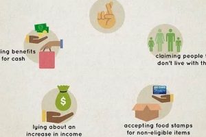 Report Food Stamp Abuse Texas Old Stamp Collecting Guide: Discover, Value & Preserve Vintage Stamps Report Food Stamp Abuse Texas | Old Stamp Collecting Guide: Discover, Value & Preserve Vintage Stamps