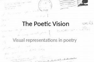 Vintage Postcard St Pete: Florida Memories Old Stamp Collecting Guide: Discover, Value & Preserve Vintage Stamps Vintage Postcard St Pete: Florida Memories | Old Stamp Collecting Guide: Discover, Value & Preserve Vintage Stamps