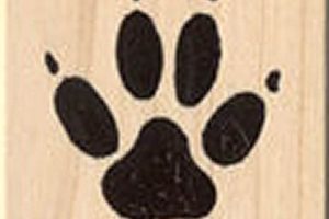 Custom Dog Paw Print Rubber Stamps & More Old Stamp Collecting Guide: Discover, Value & Preserve Vintage Stamps Custom Dog Paw Print Rubber Stamps & More | Old Stamp Collecting Guide: Discover, Value & Preserve Vintage Stamps