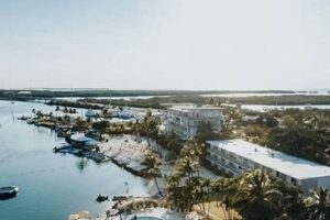 Discover Postcard Inn Beach Resort & Marina's Prime Location | Old Stamp Collecting Guide: Discover, Value & Preserve Vintage Stamps