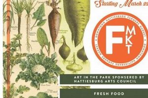 Hattiesburg Food Stamp Office: Your Guide & Resources Old Stamp Collecting Guide: Discover, Value & Preserve Vintage Stamps Hattiesburg Food Stamp Office: Your Guide & Resources | Old Stamp Collecting Guide: Discover, Value & Preserve Vintage Stamps