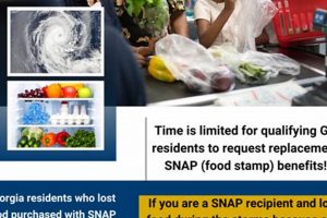 Get Emergency Food Stamp Replacement Benefits Old Stamp Collecting Guide: Discover, Value & Preserve Vintage Stamps Get Emergency Food Stamp Replacement Benefits | Old Stamp Collecting Guide: Discover, Value & Preserve Vintage Stamps