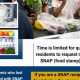 Get Emergency Food Stamp Replacement Benefits | Old Stamp Collecting Guide: Discover, Value & Preserve Vintage Stamps