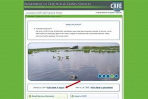 Access Food Stamp Cafe Login: Manage Benefits Old Stamp Collecting Guide: Discover, Value & Preserve Vintage Stamps Access Food Stamp Cafe Login: Manage Benefits | Old Stamp Collecting Guide: Discover, Value & Preserve Vintage Stamps