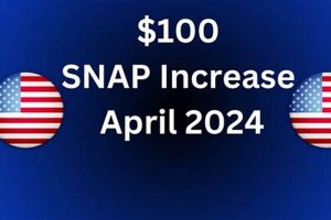 Top Food Stamp Careers & Job Opportunities Old Stamp Collecting Guide: Discover, Value & Preserve Vintage Stamps Top Food Stamp Careers & Job Opportunities | Old Stamp Collecting Guide: Discover, Value & Preserve Vintage Stamps