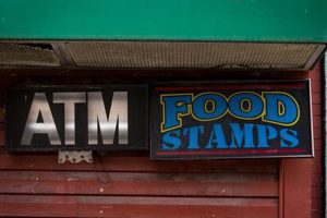 Find Your Harlan Food Stamp Office Location Old Stamp Collecting Guide: Discover, Value & Preserve Vintage Stamps Find Your Harlan Food Stamp Office Location | Old Stamp Collecting Guide: Discover, Value & Preserve Vintage Stamps