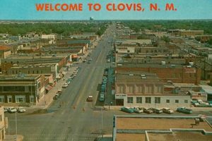 Clovis Nm Food Stamp Office Old Stamp Collecting Guide: Discover, Value & Preserve Vintage Stamps Clovis Nm Food Stamp Office | Old Stamp Collecting Guide: Discover, Value & Preserve Vintage Stamps