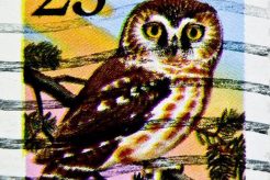 Classic 25 Cent Stamp Guide & Value Old Stamp Collecting Guide: Discover, Value & Preserve Vintage Stamps Classic 25 Cent Stamp Guide & Value | Old Stamp Collecting Guide: Discover, Value & Preserve Vintage Stamps