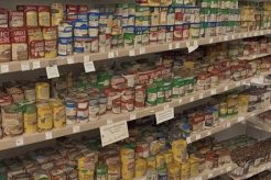 When Was The Food Stamp Program Created Old Stamp Collecting Guide: Discover, Value & Preserve Vintage Stamps When Was The Food Stamp Program Created | Old Stamp Collecting Guide: Discover, Value & Preserve Vintage Stamps