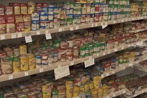 When Was The Food Stamp Program Created Old Stamp Collecting Guide: Discover, Value & Preserve Vintage Stamps When Was The Food Stamp Program Created | Old Stamp Collecting Guide: Discover, Value & Preserve Vintage Stamps