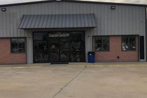 Elmore County Food Stamp Office Old Stamp Collecting Guide: Discover, Value & Preserve Vintage Stamps Elmore County Food Stamp Office | Old Stamp Collecting Guide: Discover, Value & Preserve Vintage Stamps