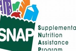 Understanding the Food Stamp Logo: A Guide | Old Stamp Collecting Guide: Discover, Value & Preserve Vintage Stamps