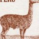 Classic Peru Postage Stamps: A Collector's Guide | Old Stamp Collecting Guide: Discover, Value & Preserve Vintage Stamps