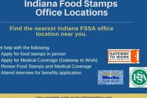 Find Your Anderson, IN Food Stamp Office | Old Stamp Collecting Guide: Discover, Value & Preserve Vintage Stamps