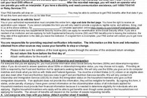 Food Stamp Recertification Form Nc | Old Stamp Collecting Guide: Discover, Value & Preserve Vintage Stamps