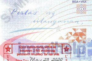 Green Card Passport Stamps: A Complete Guide | Old Stamp Collecting Guide: Discover, Value & Preserve Vintage Stamps