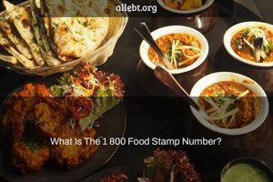 KY Food Stamp Helpline: 1800 Number & Info | Old Stamp Collecting Guide: Discover, Value & Preserve Vintage Stamps