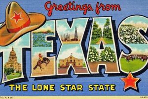 Vintage Texas Postcards: Souvenirs & History | Old Stamp Collecting Guide: Discover, Value & Preserve Vintage Stamps