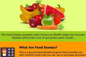 Ace Your Food Stamp Phone Interview: A Guide Old Stamp Collecting Guide: Discover, Value & Preserve Vintage Stamps Ace Your Food Stamp Phone Interview: A Guide | Old Stamp Collecting Guide: Discover, Value & Preserve Vintage Stamps