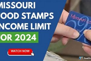 MO Food Stamp Increase 2024: What to Expect Old Stamp Collecting Guide: Discover, Value & Preserve Vintage Stamps MO Food Stamp Increase 2024: What to Expect | Old Stamp Collecting Guide: Discover, Value & Preserve Vintage Stamps
