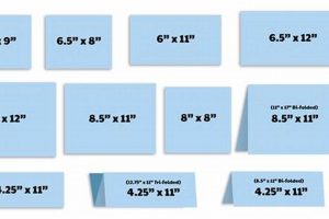 Effective EDDM Postcard Sizes Guide (2024) Old Stamp Collecting Guide: Discover, Value & Preserve Vintage Stamps Effective EDDM Postcard Sizes Guide (2024) | Old Stamp Collecting Guide: Discover, Value & Preserve Vintage Stamps