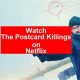 Netflix Postcard Killings | Old Stamp Collecting Guide: Discover, Value & Preserve Vintage Stamps