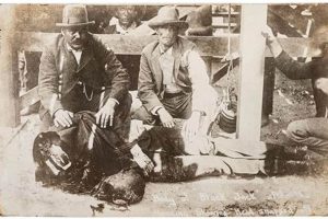 Vintage Black Jack Ketchum Postcards: Wild West History | Old Stamp Collecting Guide: Discover, Value & Preserve Vintage Stamps