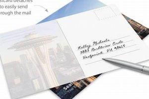 Send Personalized Calendar Postcards Online | Old Stamp Collecting Guide: Discover, Value & Preserve Vintage Stamps