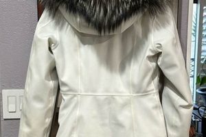 Vintage Postcard Ski Coats for Winter Adventures | Old Stamp Collecting Guide: Discover, Value & Preserve Vintage Stamps