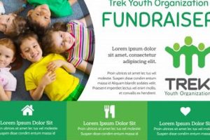 Effective Fundraising Postcard Ideas & Examples Old Stamp Collecting Guide: Discover, Value & Preserve Vintage Stamps Effective Fundraising Postcard Ideas & Examples | Old Stamp Collecting Guide: Discover, Value & Preserve Vintage Stamps