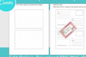 Free 6x4 Postcard Templates | Design & Print | Old Stamp Collecting Guide: Discover, Value & Preserve Vintage Stamps