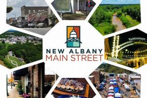 New Albany Ms Food Stamp Office | Old Stamp Collecting Guide: Discover, Value & Preserve Vintage Stamps