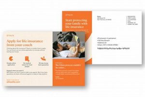 Top Postcard Mailing Companies & Services | Old Stamp Collecting Guide: Discover, Value & Preserve Vintage Stamps