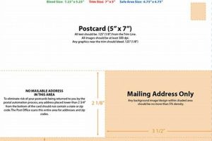 Free USPS Postcard Templates 5x7 (Printable) | Old Stamp Collecting Guide: Discover, Value & Preserve Vintage Stamps
