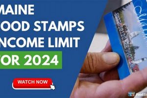 NY Food Stamp Guide &amp; Eligibility 2024 | Old Stamp Collecting Guide: Discover, Value & Preserve Vintage Stamps