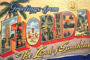 Classic Vintage Florida Postcards For Sale Old Stamp Collecting Guide: Discover, Value & Preserve Vintage Stamps Classic Vintage Florida Postcards For Sale | Old Stamp Collecting Guide: Discover, Value & Preserve Vintage Stamps
