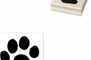 Best Cat Paw Rubber Stamp for Pet Lovers | Old Stamp Collecting Guide: Discover, Value & Preserve Vintage Stamps