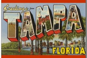 Vintage Postcard Tampa: Florida Memories | Old Stamp Collecting Guide: Discover, Value & Preserve Vintage Stamps
